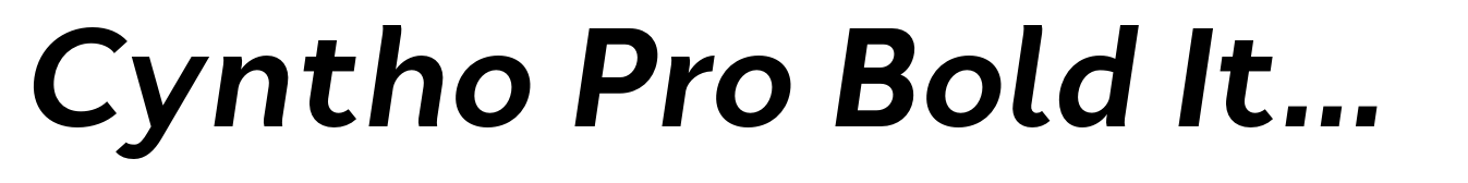 Cyntho Pro Bold Italic