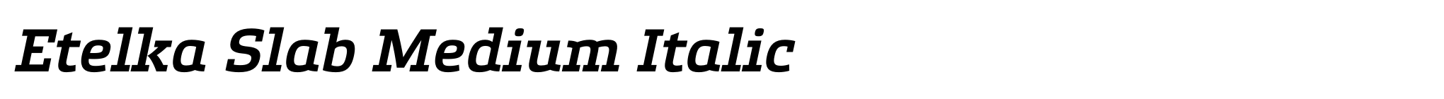 Etelka Slab Medium Italic image