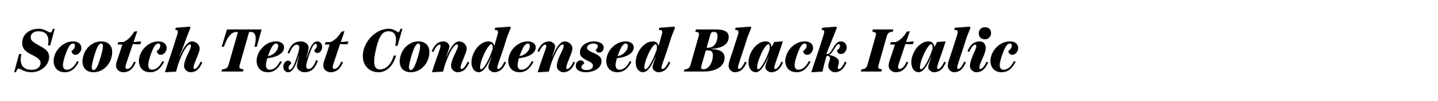 Scotch Text Condensed Black Italic image