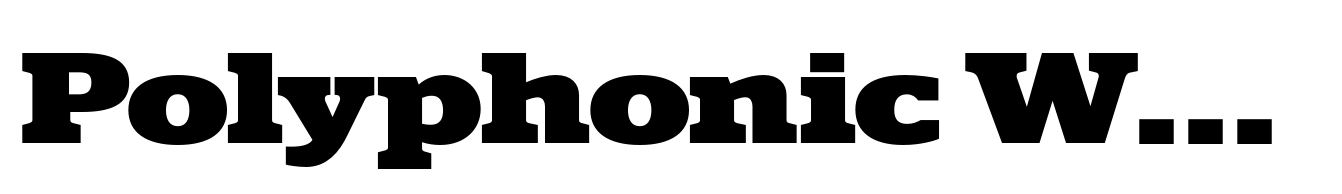 Polyphonic Wide Black