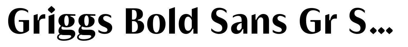 Griggs Bold Sans Gr Ss01