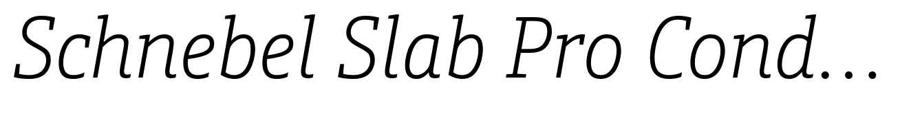 Schnebel Slab Pro Condensed Thin Italic