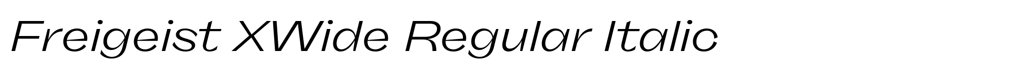 Freigeist XWide Regular Italic image