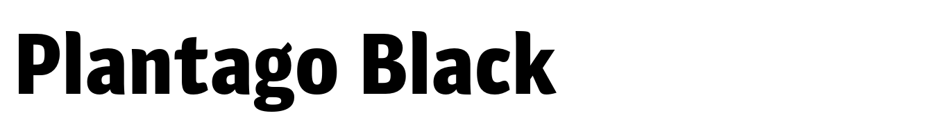 Plantago Black