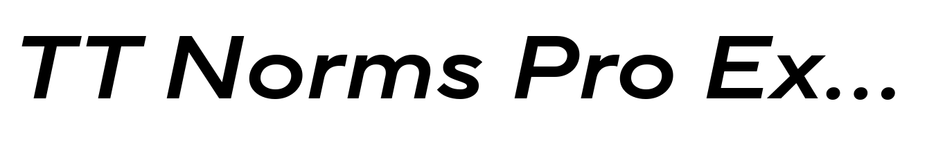 TT Norms Pro Expanded Demi Bold Italic
