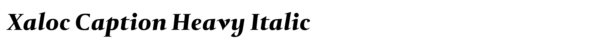 Xaloc Caption Heavy Italic image