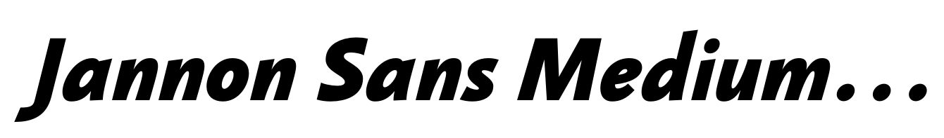 Jannon Sans Medium-Bold Italic