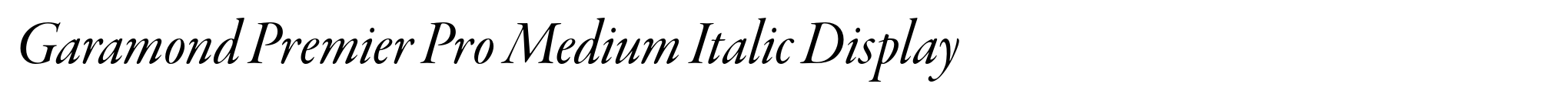 Garamond Premier Pro Medium Italic Display image