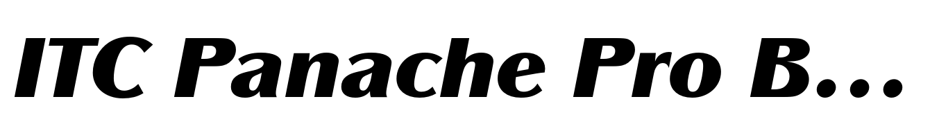 ITC Panache Pro Black Italic