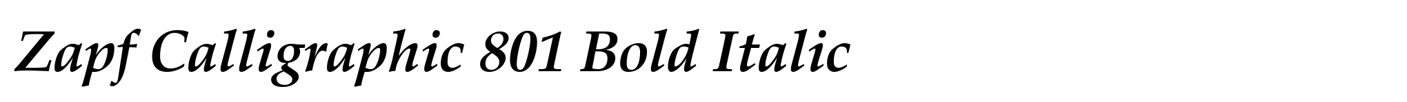 Zapf Calligraphic 801 Bold Italic image
