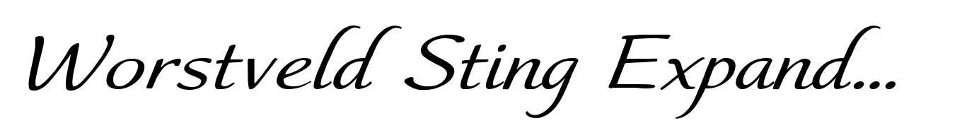 Worstveld Sting Expanded Italic