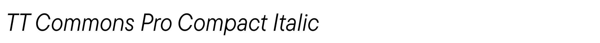 TT Commons Pro Compact Italic image