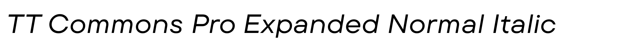 TT Commons Pro Expanded Normal Italic image