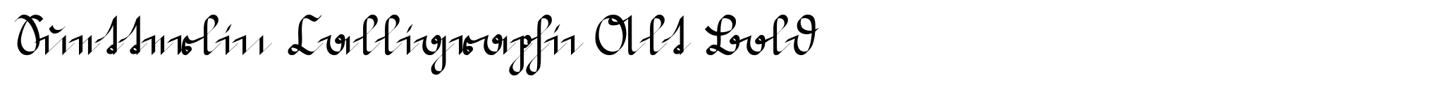 Suetterlin Calligraphic Alt Bold image