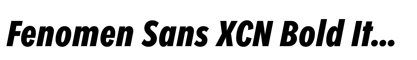 Fenomen Sans XCN Bold Italic