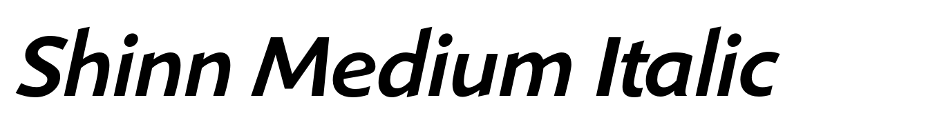 Shinn Medium Italic