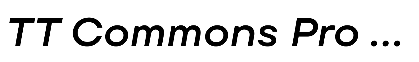 TT Commons Pro Expanded DemiBold Italic