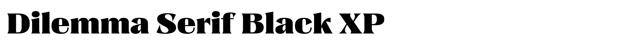 Dilemma Serif Black XP image