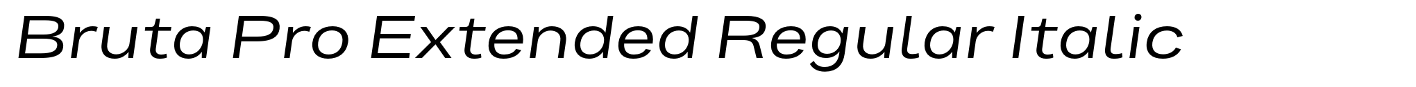 Bruta Pro Extended Regular Italic image