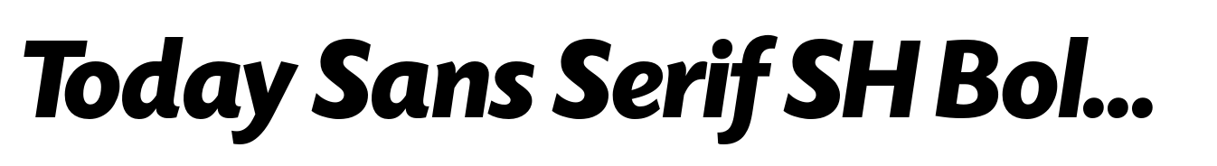 Today Sans Serif SH Bold Italic