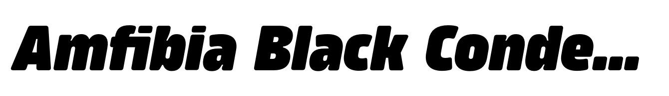 Amfibia Black Condensed Italic