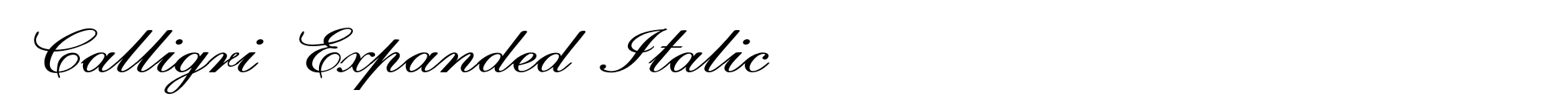 Calligri Expanded Italic image
