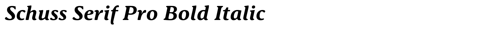 Schuss Serif Pro Bold Italic image