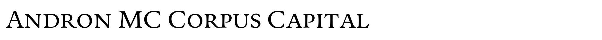 Andron MC Corpus Capital image