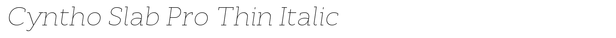 Cyntho Slab Pro Thin Italic image