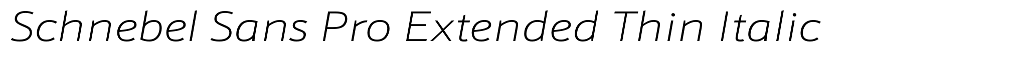 Schnebel Sans Pro Extended Thin Italic image