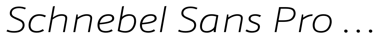 Schnebel Sans Pro Extended Thin Italic