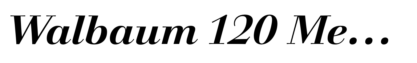 Walbaum 120 Medium Pro Bold Italic
