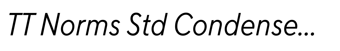 TT Norms Std Condensed Italic