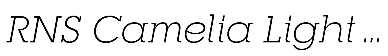 RNS Camelia Light Italic