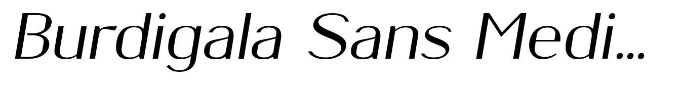 Burdigala Sans Medium Expanded Italic