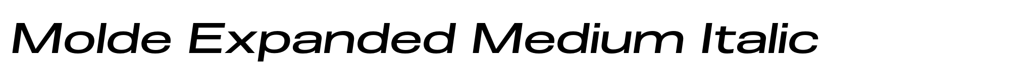 Molde Expanded Medium Italic image