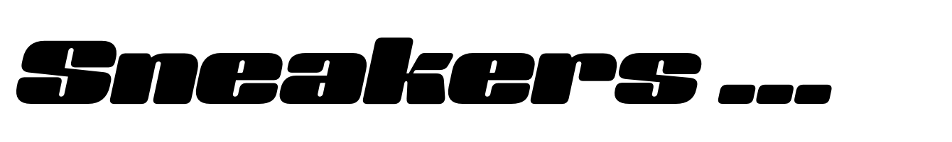 Sneakers Max 400 Bold Oblique Font | Webfont & Desktop | MyFonts