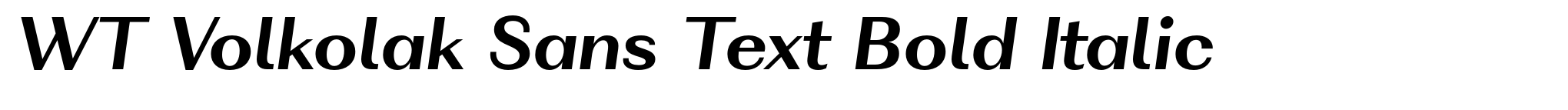 WT Volkolak Sans Text Bold Italic image