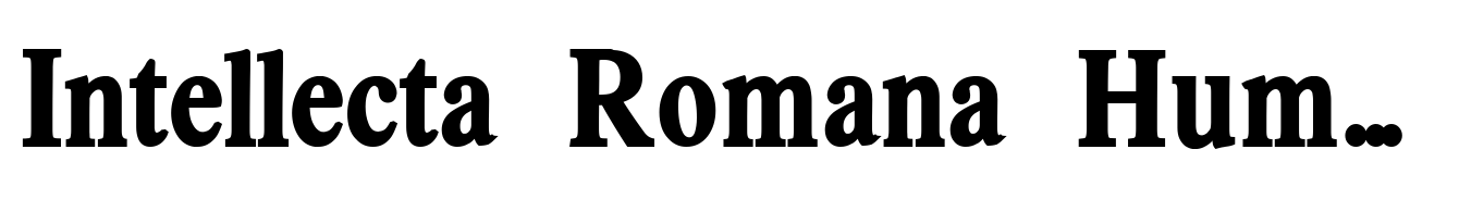 Intellecta Romana Humanistica Bold