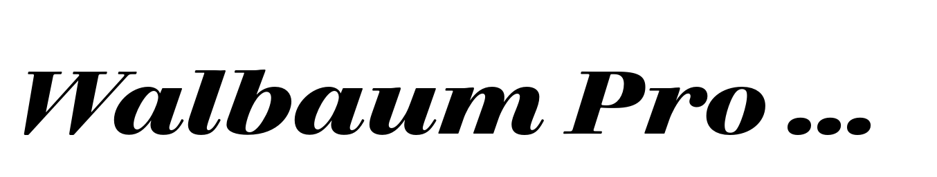 Walbaum Pro 18pt Bold Italic