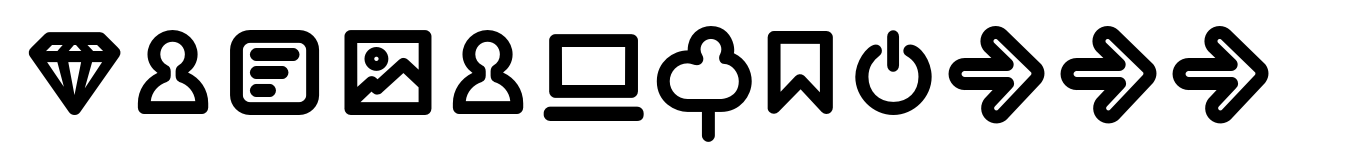 Duepuntozero Pro Icon Bold