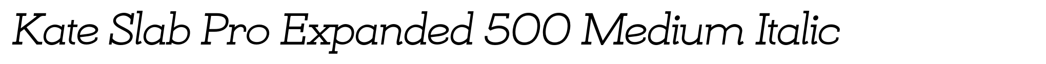 Kate Slab Pro Expanded 500 Medium Italic image
