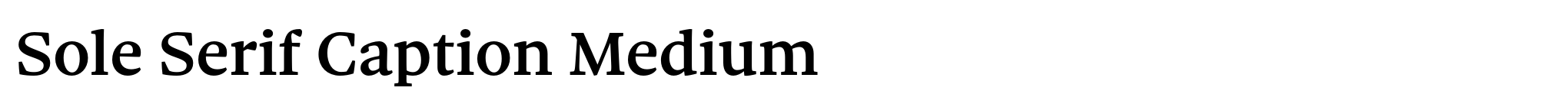 Sole Serif Caption Medium image