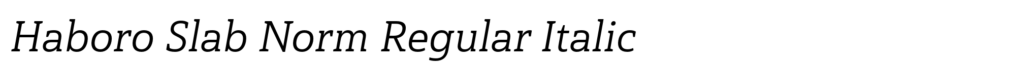 Haboro Slab Norm Regular Italic image