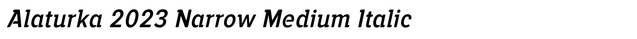 Alaturka 2023 Narrow Medium Italic image