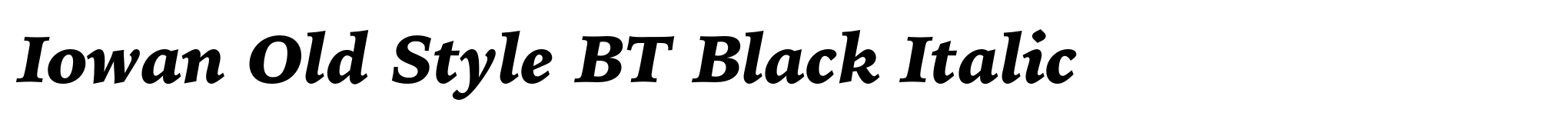 Iowan Old Style BT Black Italic image