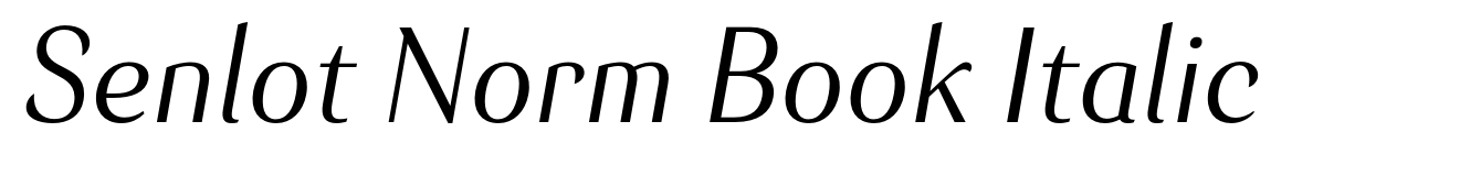 Senlot Norm Book Italic