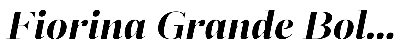 Fiorina Grande Bold Italic