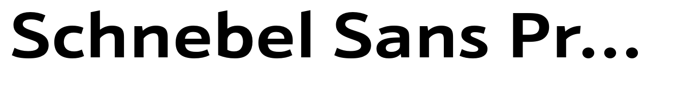 Schnebel Sans Pro Extended Bold