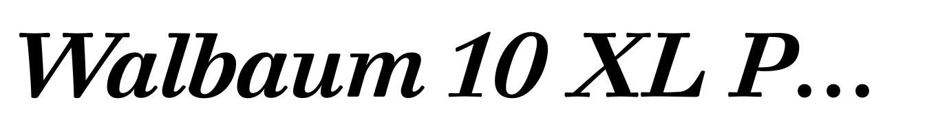 Walbaum 10 XL Pro Bold Italic